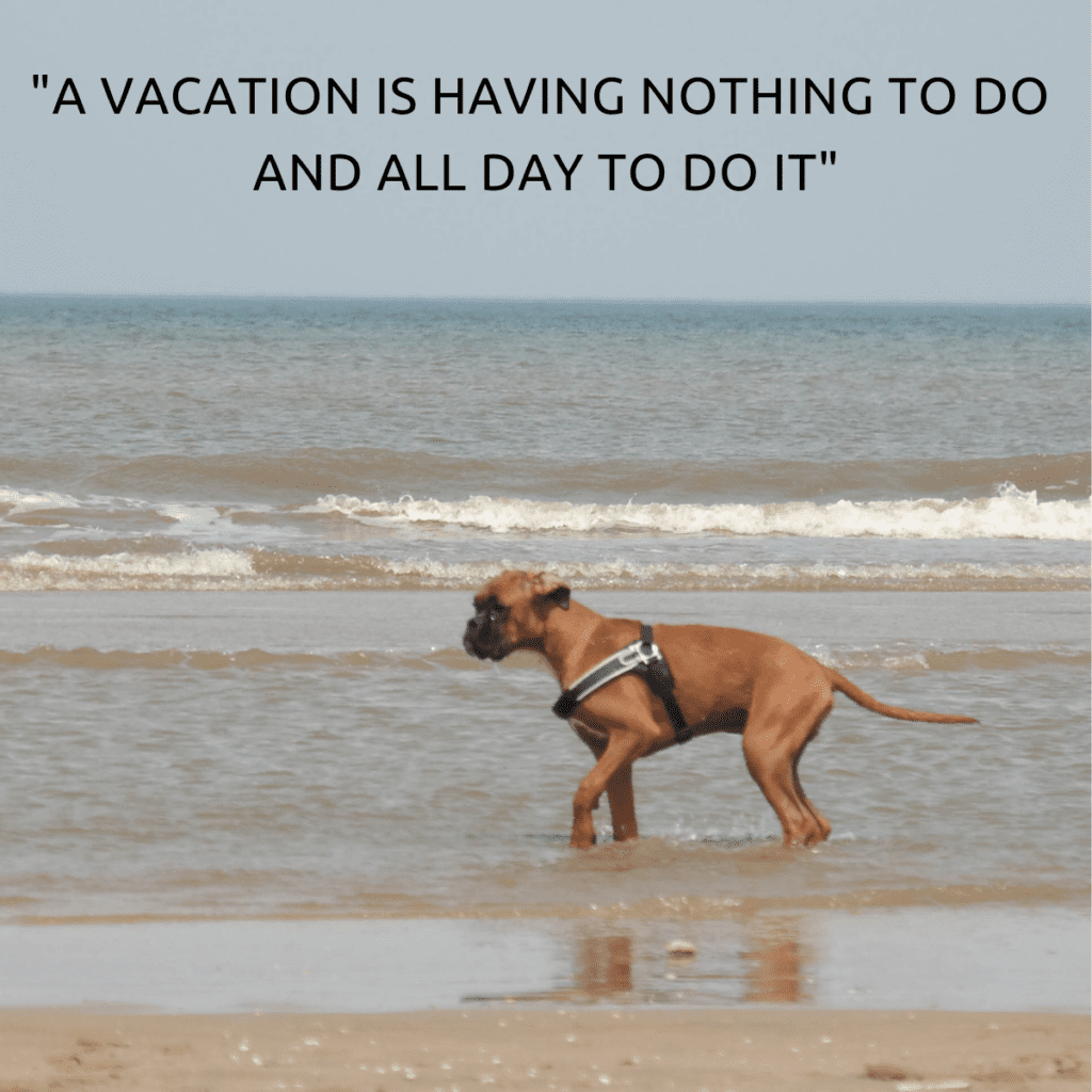 blog 5 tips voorbereid op vakantie