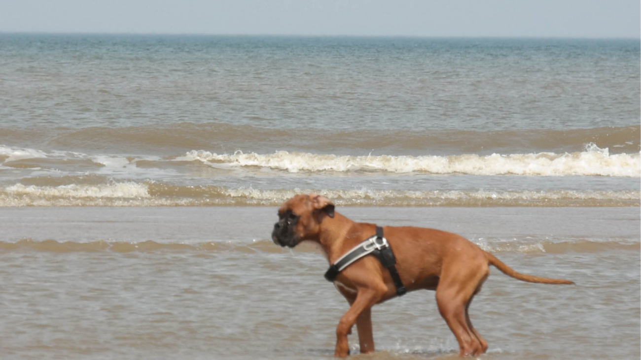 blog 5 tips voorbereid op vakantie