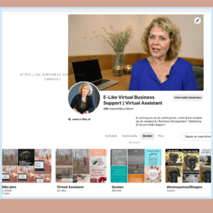 Pinterest widget E-like