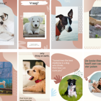 Stories Templates