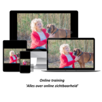 Online training 'Alles over online zichtbaarheid'