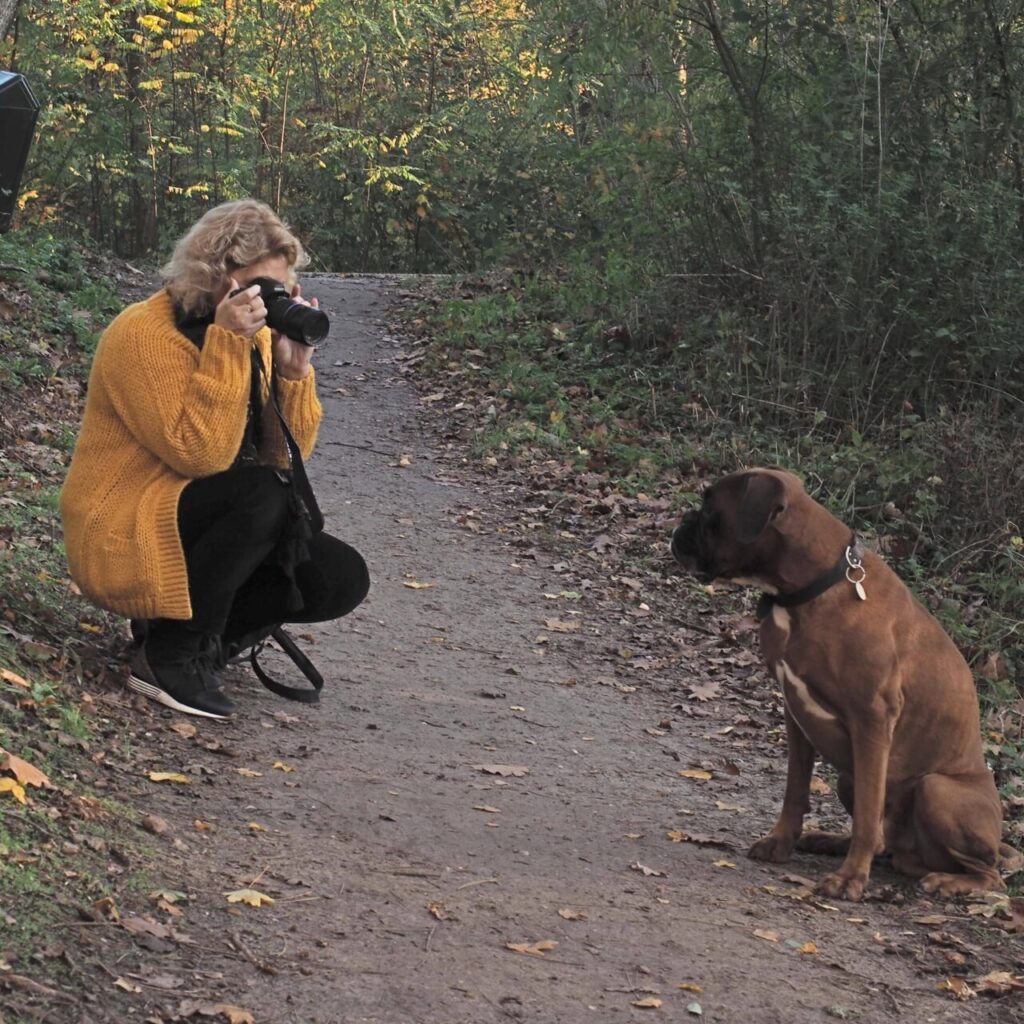 E-like hond fotograferen