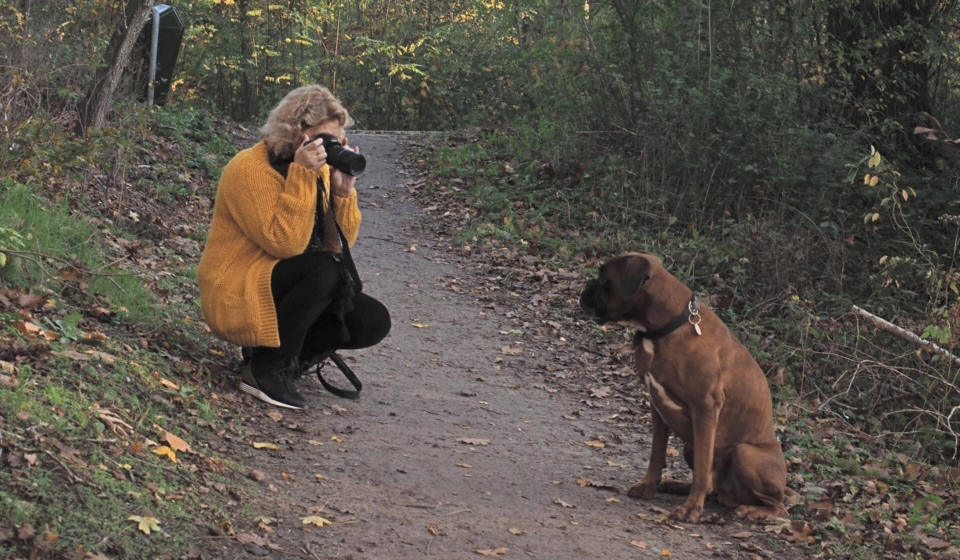 E-like hond fotograferen